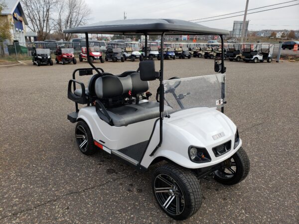 2021 LSV - Image 3