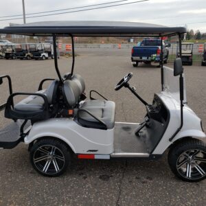 2021 LSV - Image 4