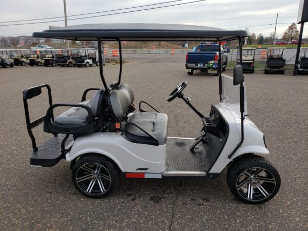 2021 LSV - Image 4