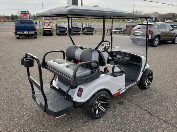 2021 LSV - Image 5