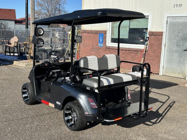 2019 LSV - Image 6