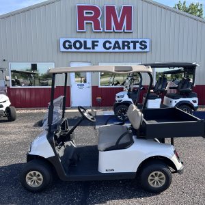 2019 EZ-GO RXV
