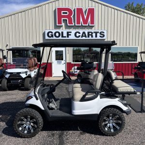 2009 Yamaha Drive